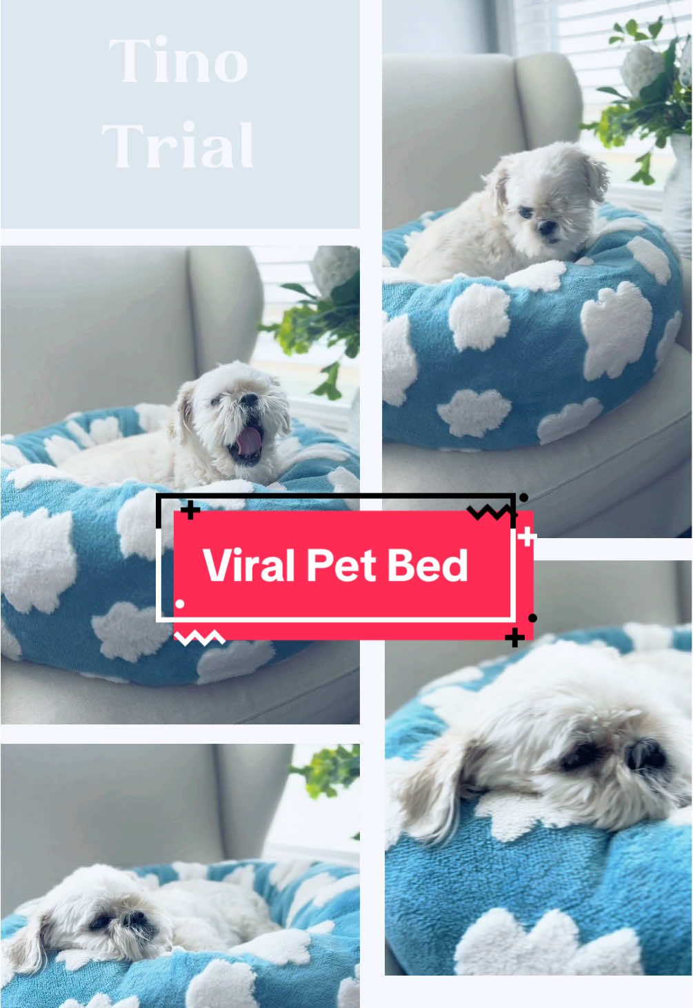 🐾 Tino’s Trial! 🛏️ Our 14-year-old Shih Tzu, Tino, is a comfort connoisseur, and this Lesure Calming Donut Bed passed with flying colors! 🌟 From the overstuffed, thick foam cushioning to the cozy warmth it provides, it’s the perfect blend of luxury and practicality. He hopped right in and started snoozing—proof that it’s senior-joint-approved and Tino-certified. 🐶✨ Bonus: it fully unzips for easy cleaning and comes at an amazing price. Treat your fur baby to this plush perfection! ❤️ #TinosTrial #PetLuxury #DogApproved #CozyAndClean @Lesure Pet @LESURE.US.Shop #CapCut 