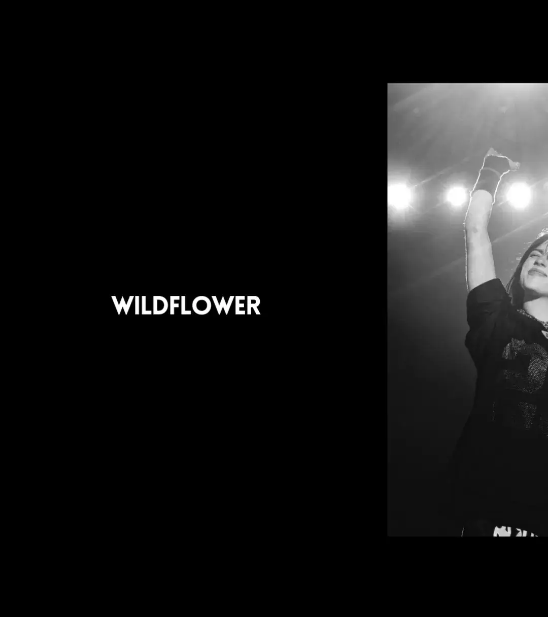 0:34 I WILDFLOWER - Billie Eilish 🎶 | #wildflower #billieeilish #lyrics #music #viral #fy