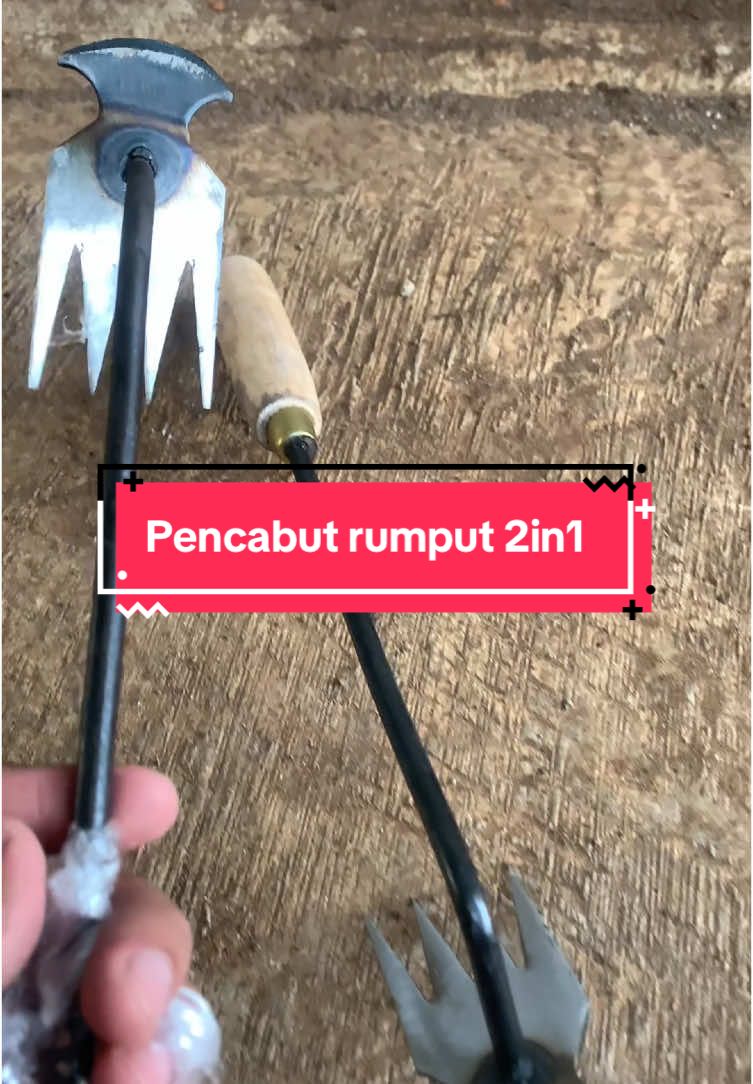 Alat Pencabut rumput 2in1 , bahan baja selendang , tersedia gagang kayu dan besi #pencabutrumput #alatrumput 