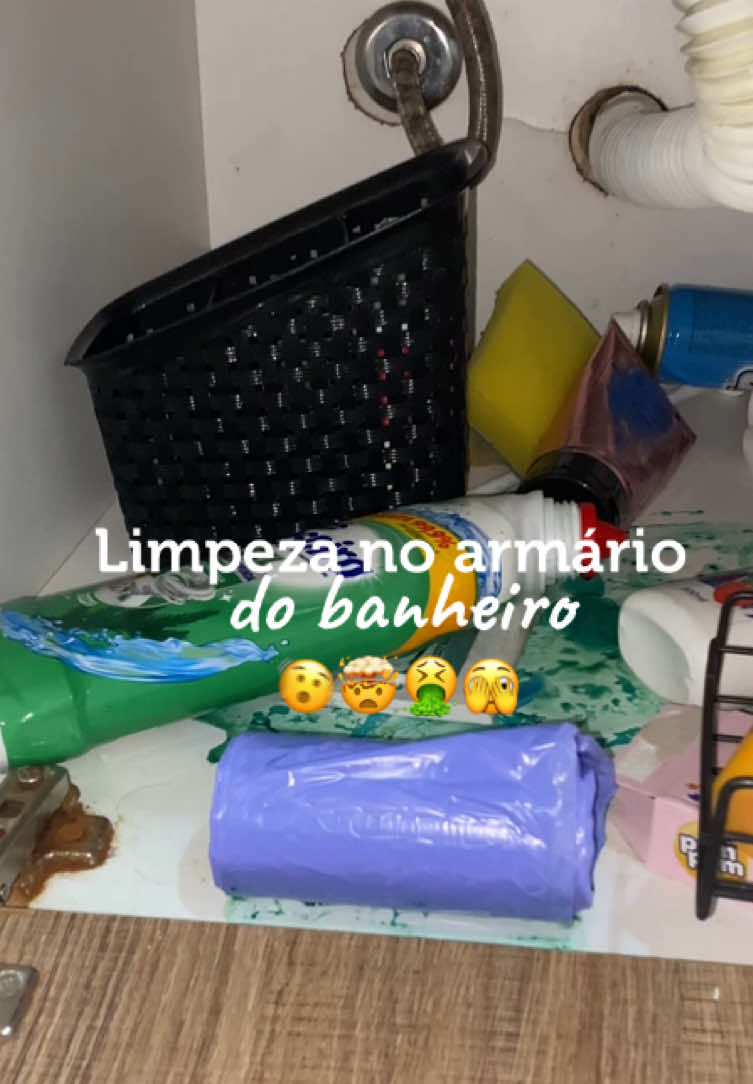 Você organiza seus produtos de cabelo como ?  #armario #banheiro #pote #produto 