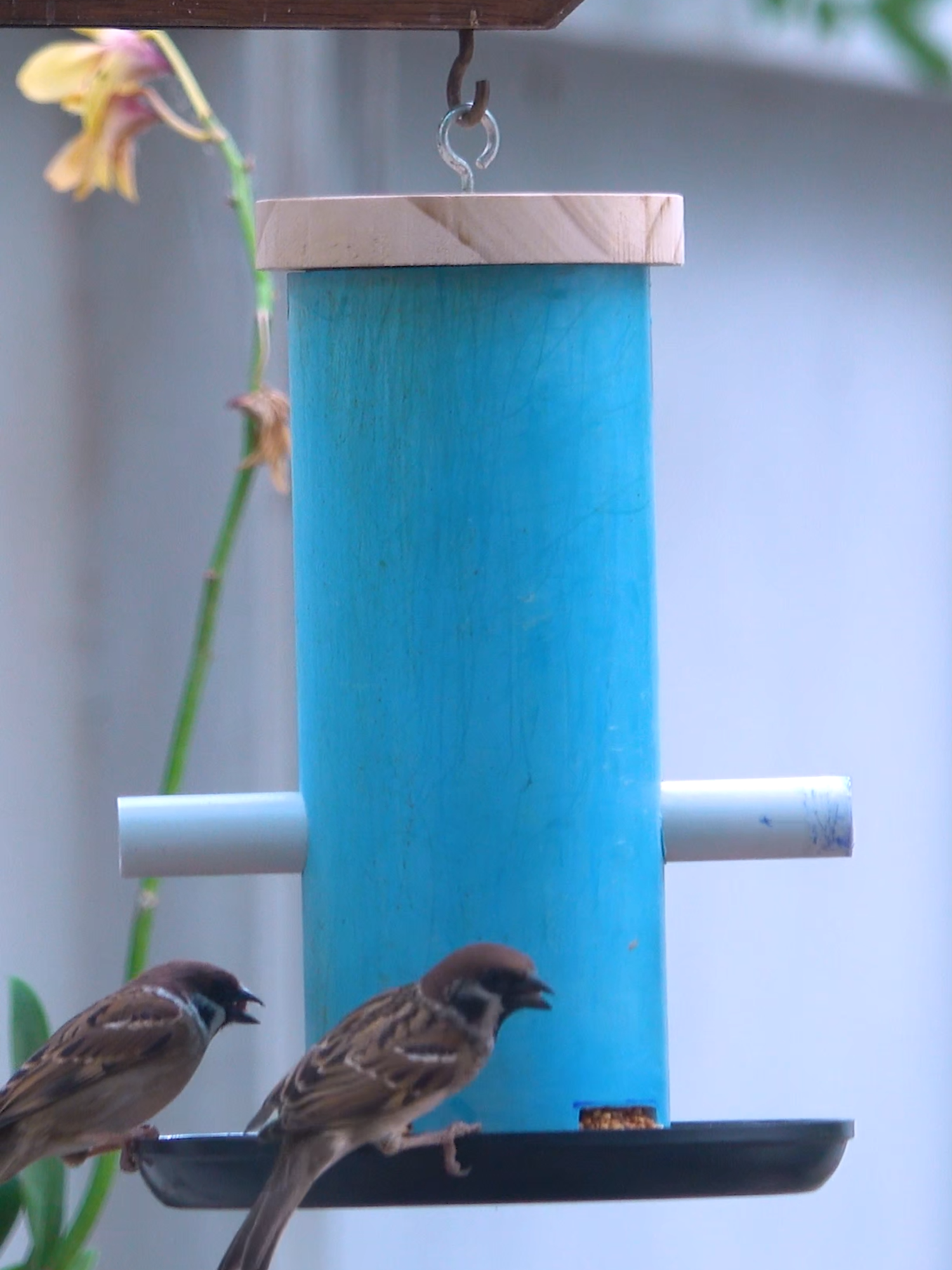 CREATE Your Own PVC Bird Feeder At Home!