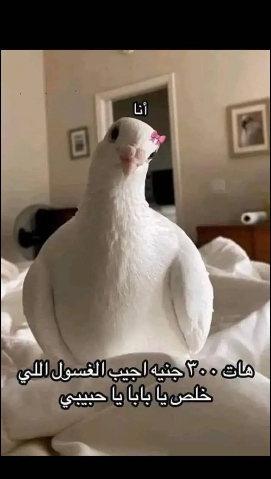 لما اطلب من بابا حاجه 🌚😂❤️