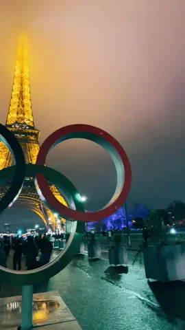 #TIGER🐅 Brother @Farkh Khokhar #paris2024 #effiltowerparis #luxury #Lifestyle #travelingtheworld #Lion #money 🦁