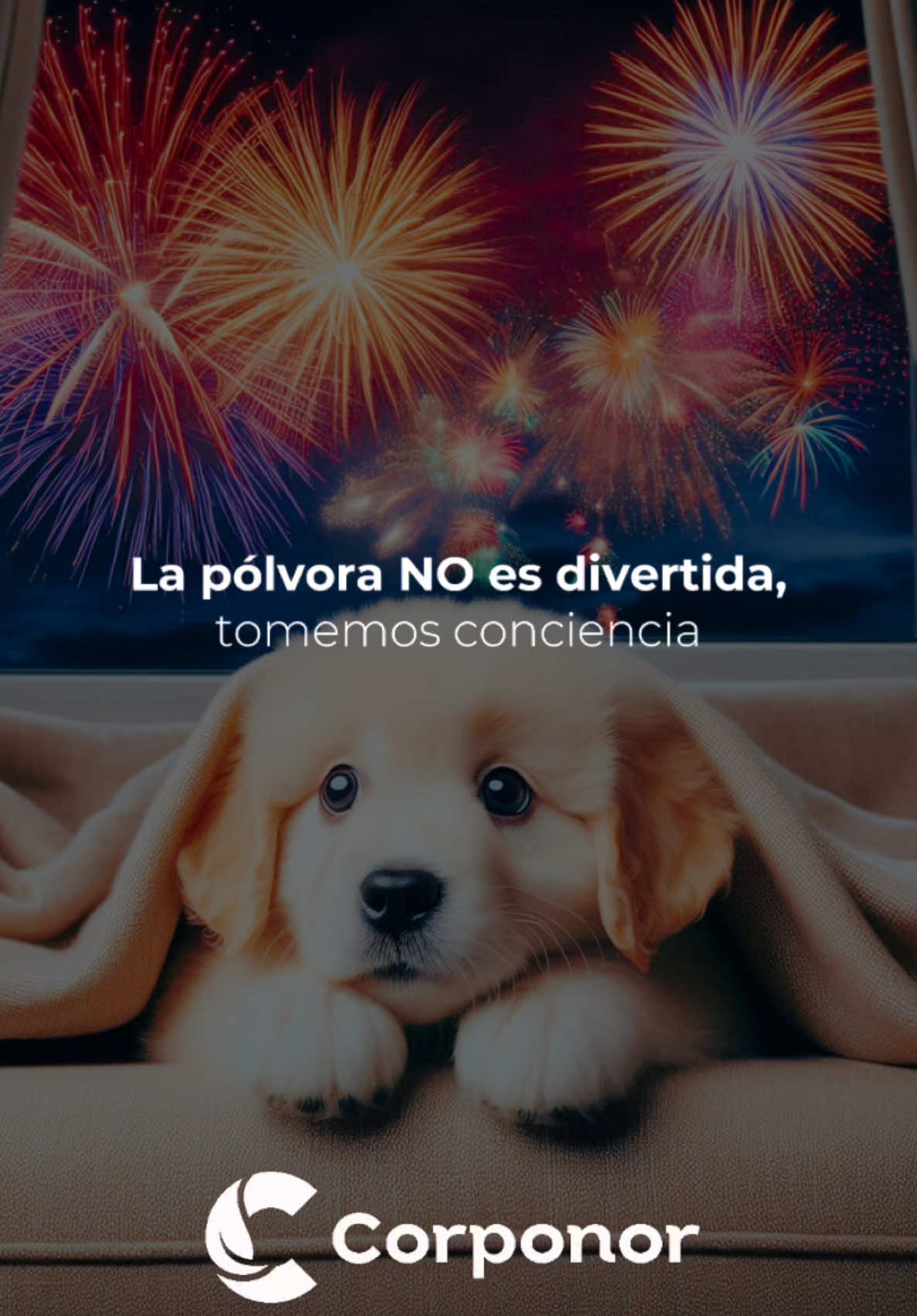 La #pólvora 🎆🎇 no es #divertida. Mientras los #humanos #celebran, los #animales 🐾🐤 sufren y el estridente #sonido puede ocasionales #infartos, #náuseas, #pánico, #lesiones, #desorientación y hasta el #desplazamiento de su #hogar.  ▶️ Nuestro médico veterinario, Samir León Restrepo y la bióloga Leiny García; invitan para que en esta #Navidad, hagamos un cambio y regalemos #paz a todos los seres vivos que comparten este #mundo con nosotros.🎄