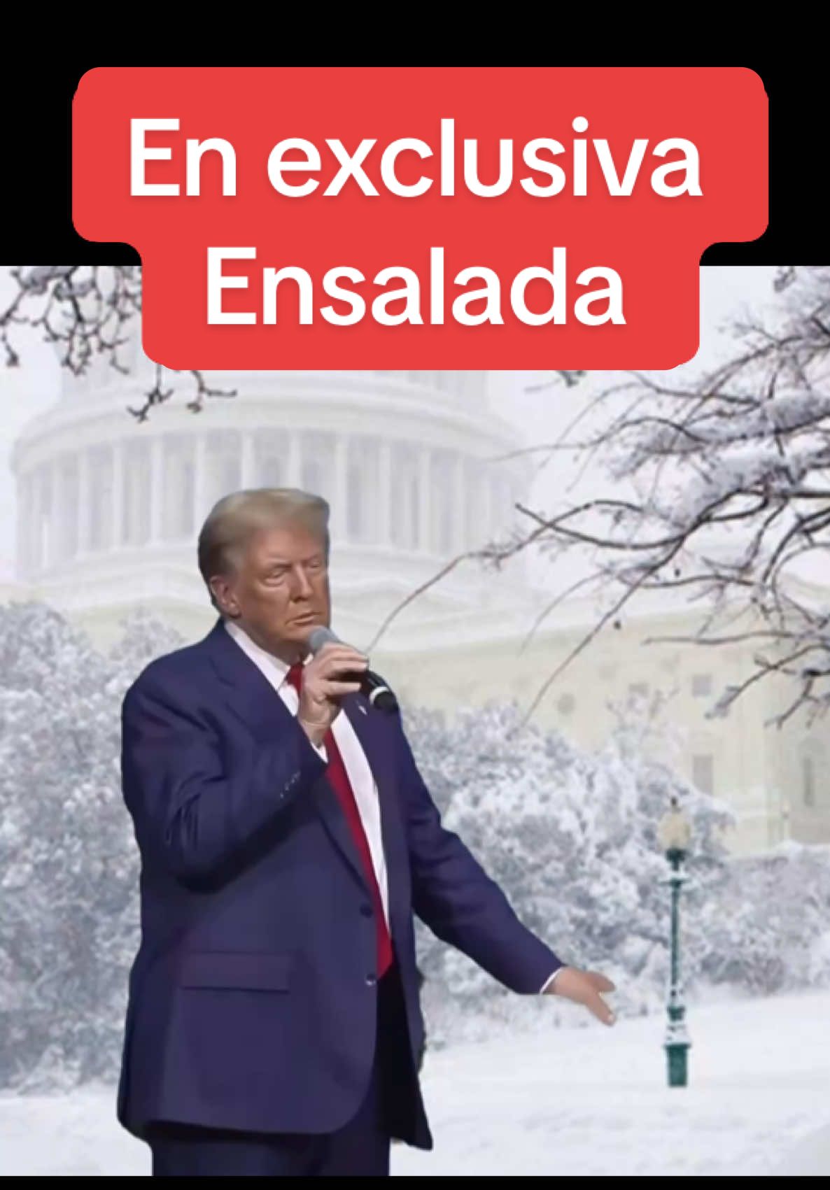 #trump #trumpet #memestrump #trumpmemes #newyork #poems #ensalada #cosinando 