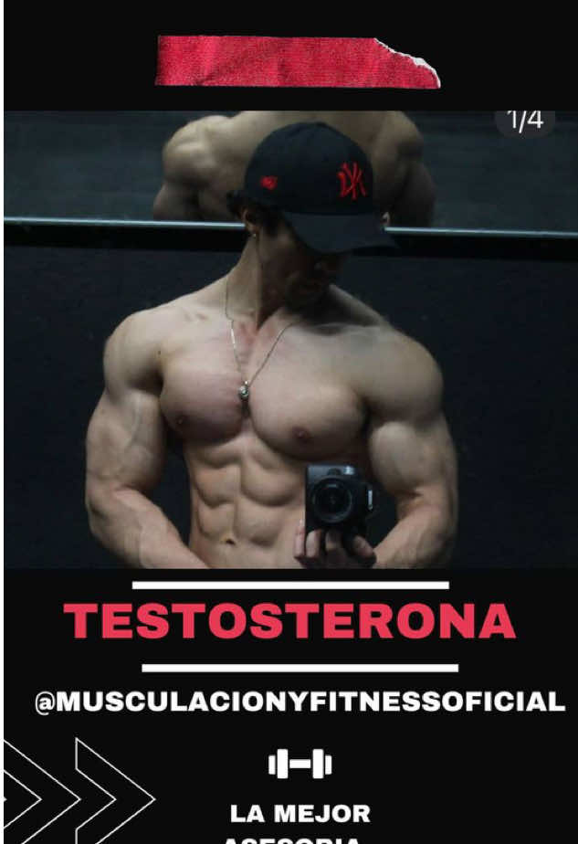 La testosterona en el culturismo aumenta la masa muscular, mejora la fuerza y resistencia, acelera la recuperación, reduce la grasa corporal, incrementa la síntesis de proteínas, favorece el crecimiento muscular, mejora la densidad ósea y potencia el rendimiento físico. También ayuda a mantener un equilibrio hormonal óptimo, crucial para un desarrollo muscular sostenido. No abuses del uso de farmacología deportiva. #eeuu🇺🇸 #méxico #peru #colombia #españa #italia #itália #europaleague #europa 