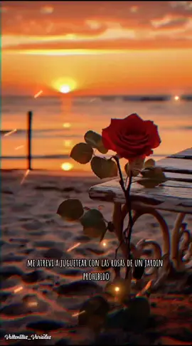 𝑪𝒐𝒎𝒐 𝑨𝒒𝒖𝒆𝒍 𝑷𝒂𝒋𝒂𝒓𝒊𝒕𝒐❤️ 𝑳𝒐𝒔 𝑫𝒊𝒂𝒃𝒍𝒊𝒕𝒐𝒔 🎶#vallenato #losdiablitos 