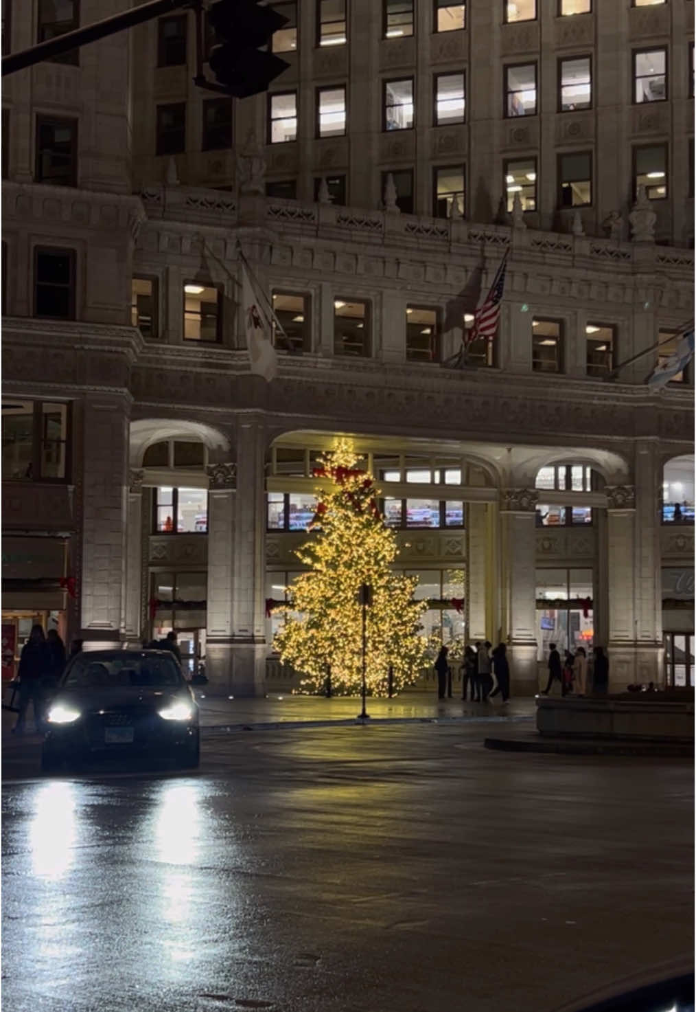 Christmas in chicago ❤️🌲🫶🏼 #christmas #christmastime #fyp #foryou #christmastok #holiday #holidays #aesthetic #christmaslights #christmastree #christmasaesthetic #cozy #chicago 