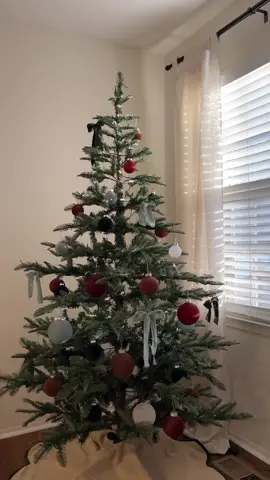 day 5🎄put up the christmas tree with me!  #christmasdecor #christmastree #decoratingforchristmas #christmasvlog #Vlogmas 