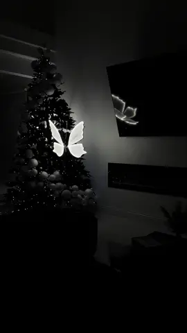 #christmas #2024 🖤🤍