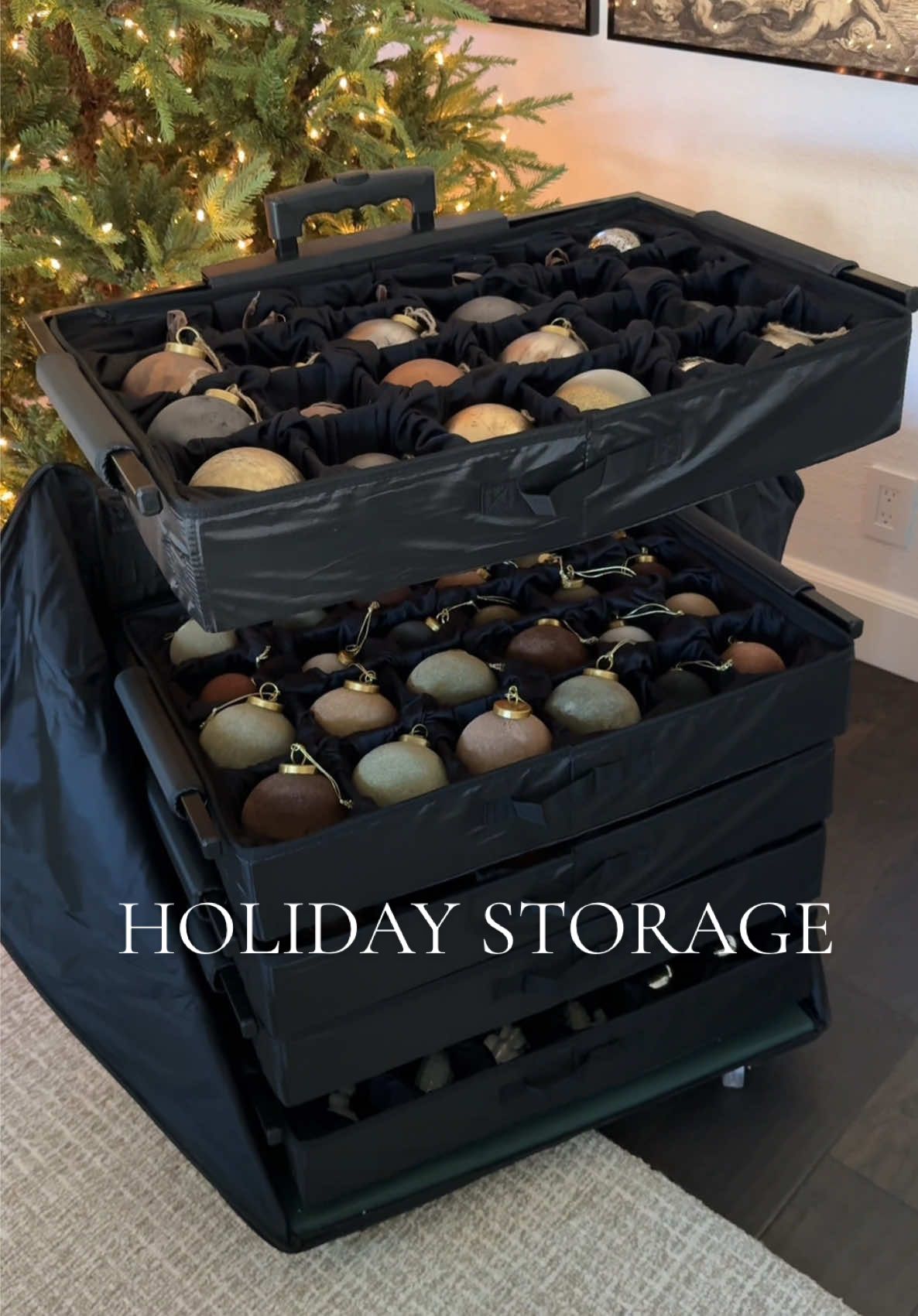 Ornament organizer! Found in stock and on sale! #holidaydecor #christmastree 