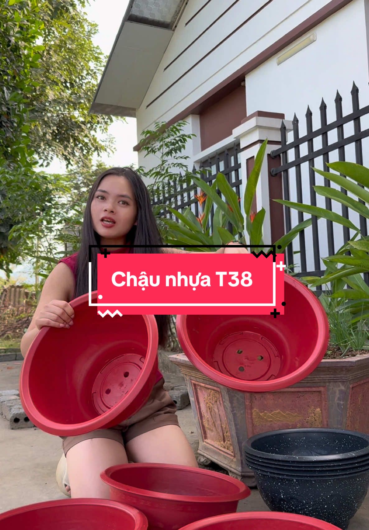 Chậu nhựa T38 trồng hoa Tết #xuhuongtiktok #xuhuongtiktok2025 #hoangchien94 #chaunhuatrongcay #chaunhua #chautronghoa 