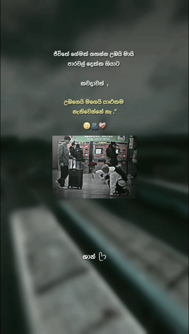 ජීවිතේ ගේමක් ගහන්න පාරවල් දෙක්ක ගියාට, උඹෙයි මගෙයි යාළුකම කවදාවත් නැතිවෙන්නේ නෑ ..😗🫂❤️ #viral #trending #foryoupage #foryou #viralvideo #Love #couple #mention #status #statusvideo #ශාන්💛 #whatsappstatus #quotes