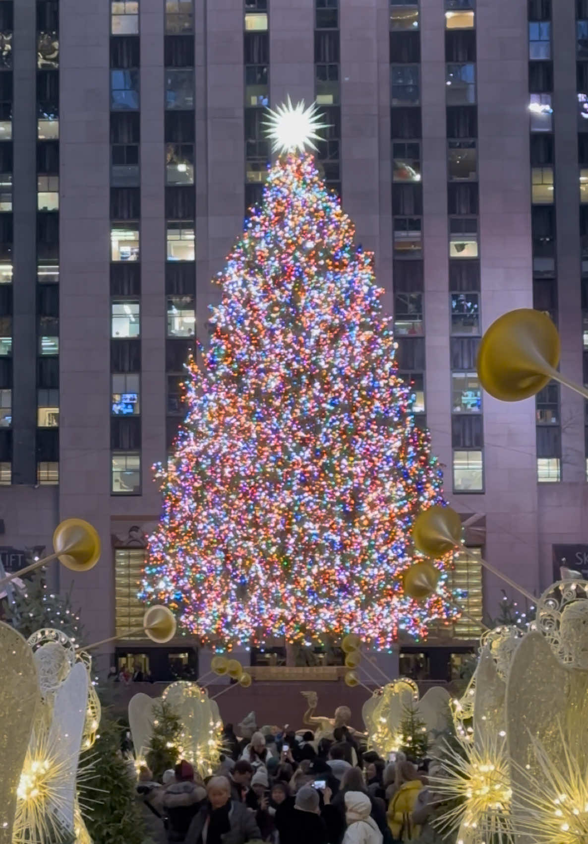 Did you know? 🎄✨ The Rockefeller Christmas Tree tradition started during the Great Depression in 1931, with workers putting up a small tree to spread hope and joy! 🌟 Now, it’s the most magical moment in NYC’s holiday season! 🗽❄️  #rockefellerchristmastree #holidaymagic #nyctraditions #christmastimeinnewyork #festivevibes #nycchristmas #holidayseason #winterwonderland #iconicmoments #cityofdreams #bigappleholidays #nycevents #traditionsmatter #sparklinglights #tistheseason #christmasvibes #holidaycheer #seasonofjoy #bucketlistmoment #holidaytravel #travelnyc #explorenyc #citygram #instachristmas #nycadventures #timelessmagic #nyclife #christmas2024