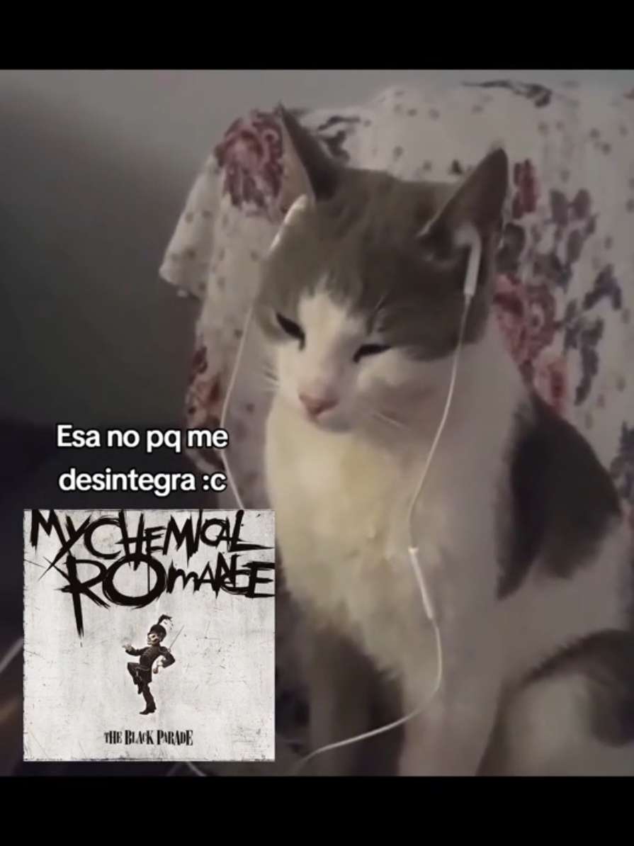 #mychemicalromance #mcr #gerardway #idontloveyou #mychemicalromanceedit 