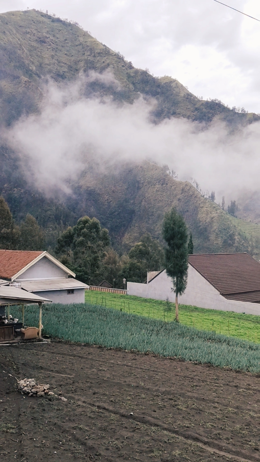 Refresh✨ ni#masyaallahtabarakkallah #vibes #bromo #fy #viralvideo #fresh #probolinggo 