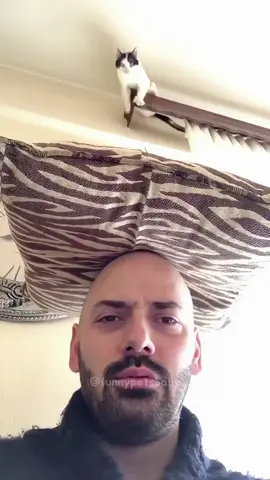 Naughty cat😹😹#cat #foryou #cats #catsoftiktok #funnyvideos #funnycats #fyp #kitty #cutecats #funny #funnycat #funnytiktok 