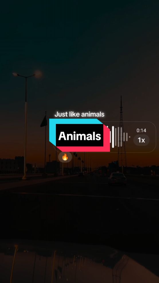 Just like animals>>> #animals #maroon5 #animalsmaroon5 #coversong #trend #coverlagu #lyrics #vn #tren #trending #englishsong #singing #sing #song #music #laguinggris #trending #viral #soundviral #fy #fypage #fyp #karaoke #VoiceEffects #voicenote #covergirl #female #fyfyfyfy #xyzbca #xyzbcafypシ #foryou #foryoupage #4upage #4u #4you #4upageシ 