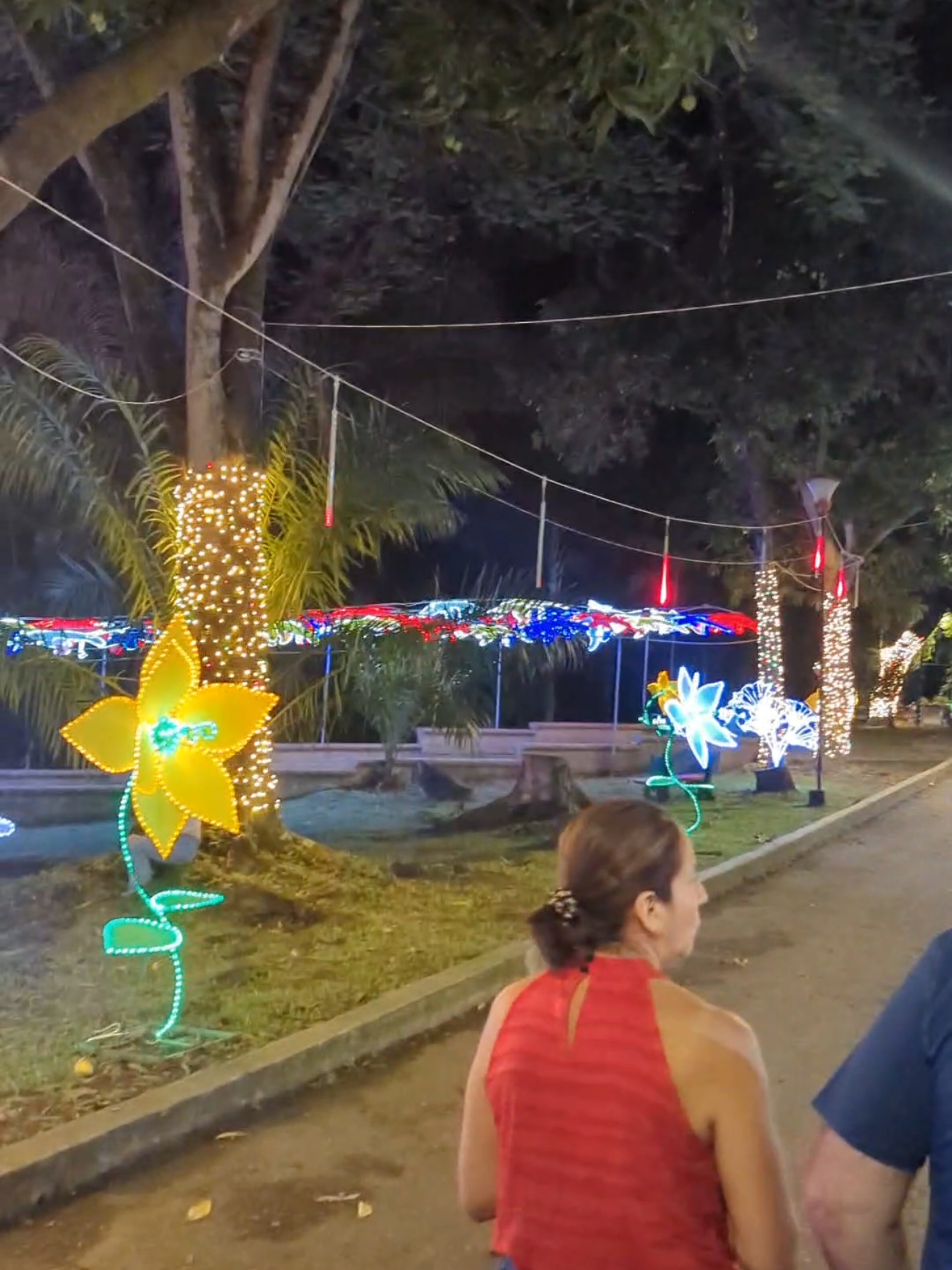 Bosque Municipal, Palmira, Valle Del Cauca (Encendido navideño 2024) #palmira #valledelcauca #colombia #navidad #fyp #parati #videoviral 