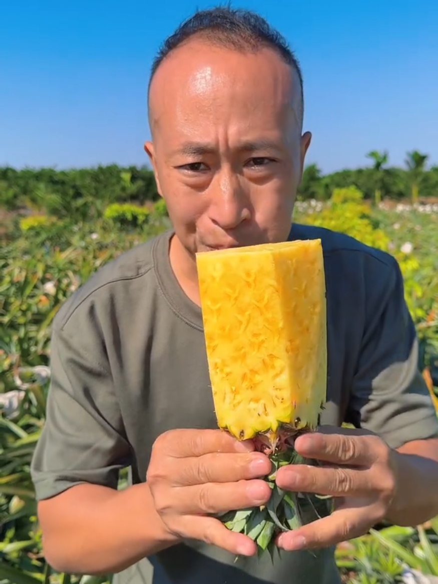 Fresh cutting pineapple with eating so fresh #life #real #pineapple #Love #nature #top 