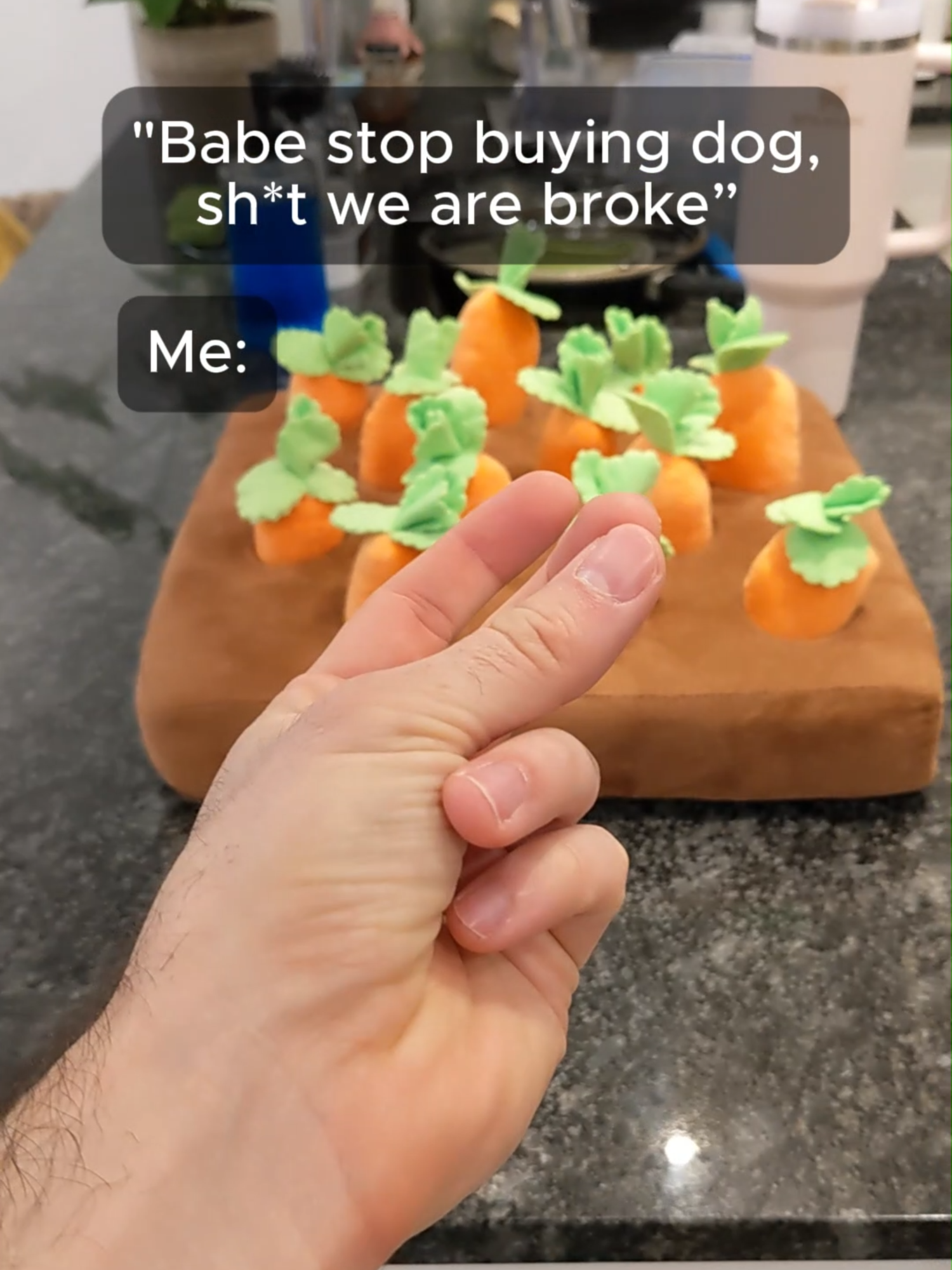 So now we're homeless #dog #dogsoftiktok #dogtoys #dogsofttiktok #dogs