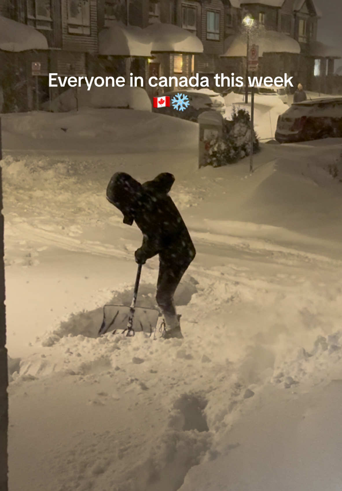 Infinite snow glitch in Ontario right now ❄️🇨🇦 . . . . #canada #london #ontario #londonontario #tiktok #fyp #winter #toronto #snow 