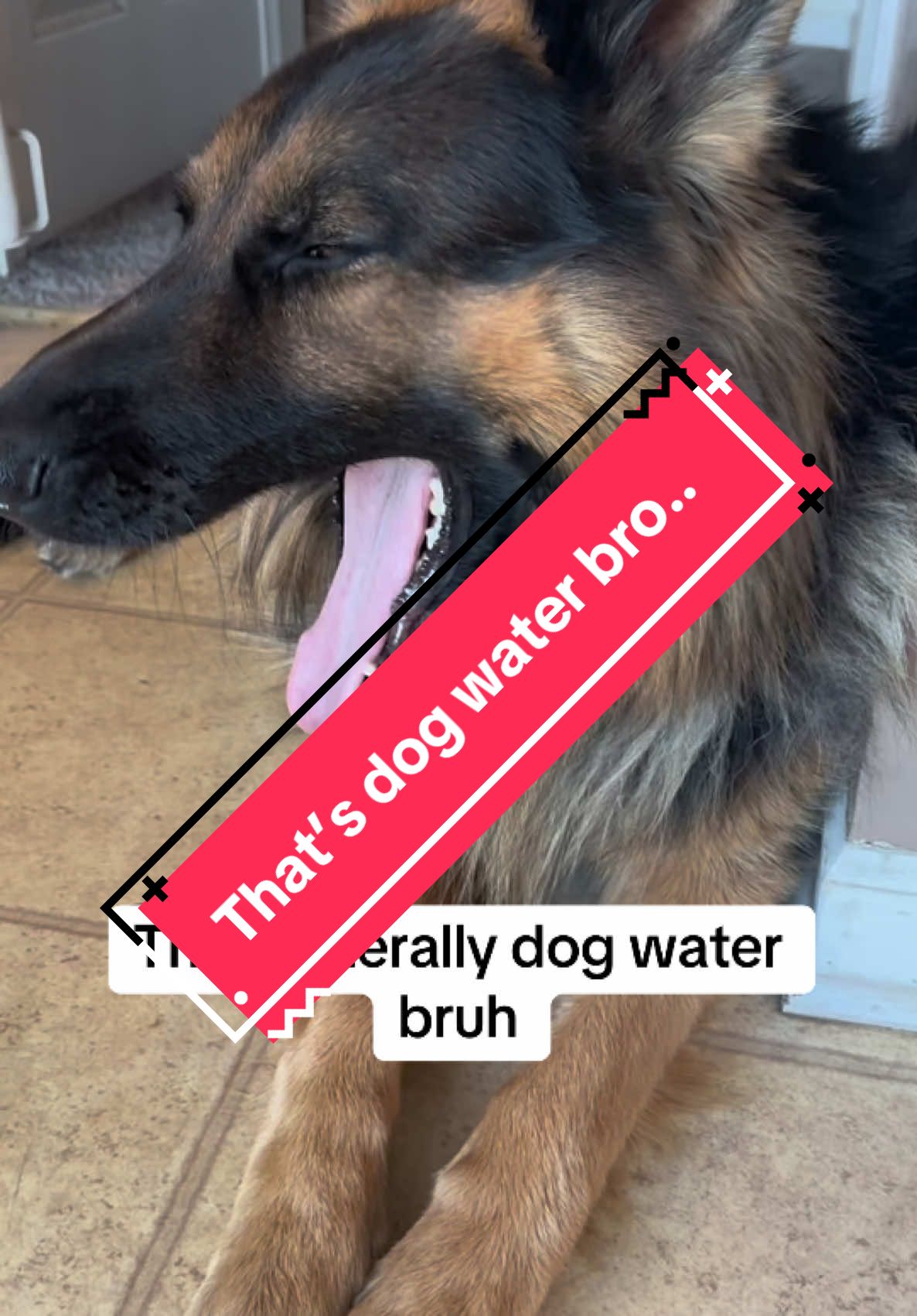 Automatic rechargeable fresh water bowl #dogwater #waterbowl #water #petwaterfountain #petfeeder #holidayhaul 