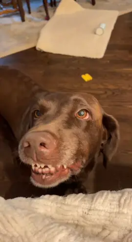 You have a good smile #guiltyreese 