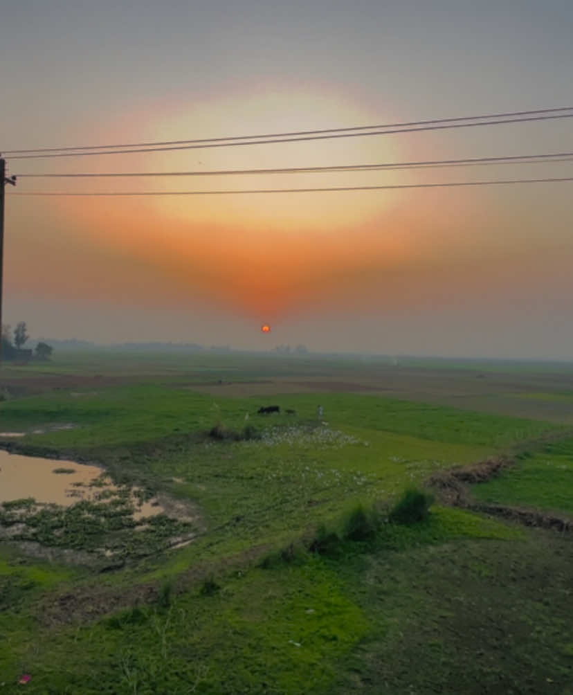 ᥫ᭡—কেটে যাচ্ছে দিন আস্তে আস্তে বুঝতে পারছি জীবন'টা বড়'ই কঠিন -//🥹❤️‍🩹 #প্রকৃতি #sky #tree #fyp #fypシ #fypシ゚viralシ #unfrezzmyaccount #tiktok #shorts #song #weather #views #reels #nature #natural #scenery #foryou #trending #viral #viralvideo #sunset #akash #NaYaN #NaYaN56 @TikTok @tiktok creators @TikTok Bangladesh 