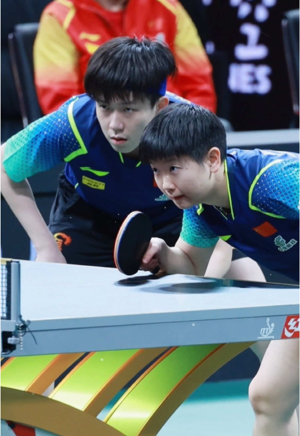 Khép lại 2024 bằng màn comeback chấn động 🦈🦁 #wangchuqin #sunyingsha #shatou #tabletennis 