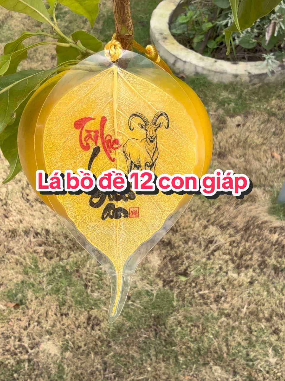 Lá bồ đề 12 con giáp