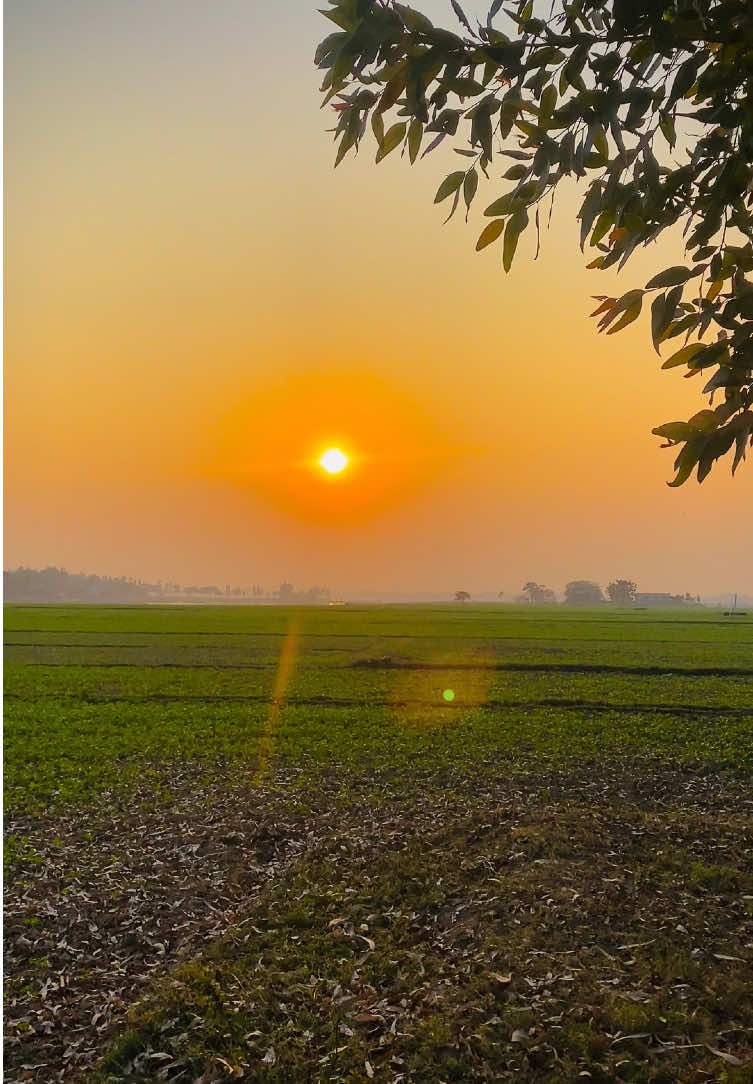 ᥫ᭡—আল্লাহ ছাড়া তোমাদের কোন অভিভাবক ও সাহায্যকারী নেই। (সূরা বাকারা, আয়াত: ১০৭) #প্রকৃতি #sky #tree #fyp #fypシ #fypシ゚viralシ #unfrezzmyaccount #tiktok #shorts #song #weather #views #reels #nature #natural #scenery #foryou #trending #viral #viralvideo #sunset #akash #NaYaN #NaYaN56 @TikTok @tiktok creators @TikTok Bangladesh 