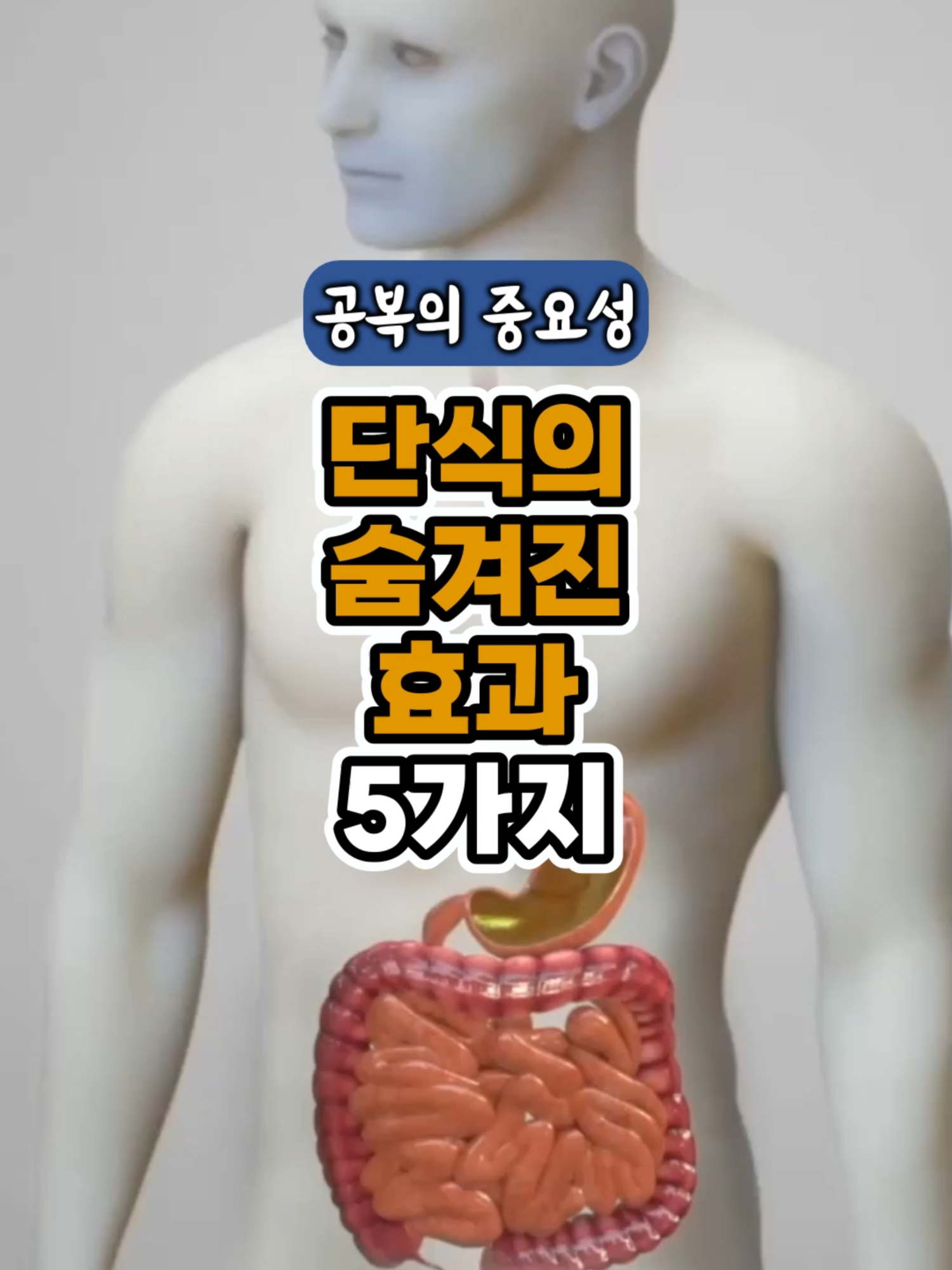 단식의 숨겨진 효과 5가지 - 공복의 중요성 #간헐적단식 #공복 #인슐린 #당뇨 #다이어트