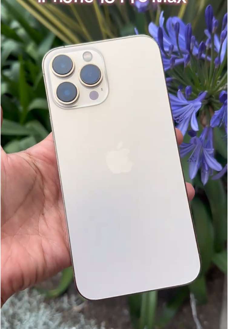 IPhone 13 Pro Max de 128gb.  • Se encuentra en excelente estado tanto estetico como funcional.  • IMEI verificable.  • Bateria al 89%.  • Pantalla True Tone.  • se entrega con cable de carga, forro y vidrio templado.   ✔️Te brindamos garantia de 1 año por IMEI y 1 mes por el equipo 🎁Aprovecha nuestras promociones de temporada🎁  -Ubicados en la ciudad de Bogota.  ‼️Si estas interesado escribenos por interno y te resolveremos cualquier inquietud‼️   #iphone #apple #tecnologia #bogotacolombia #iphone13promax #celulares 