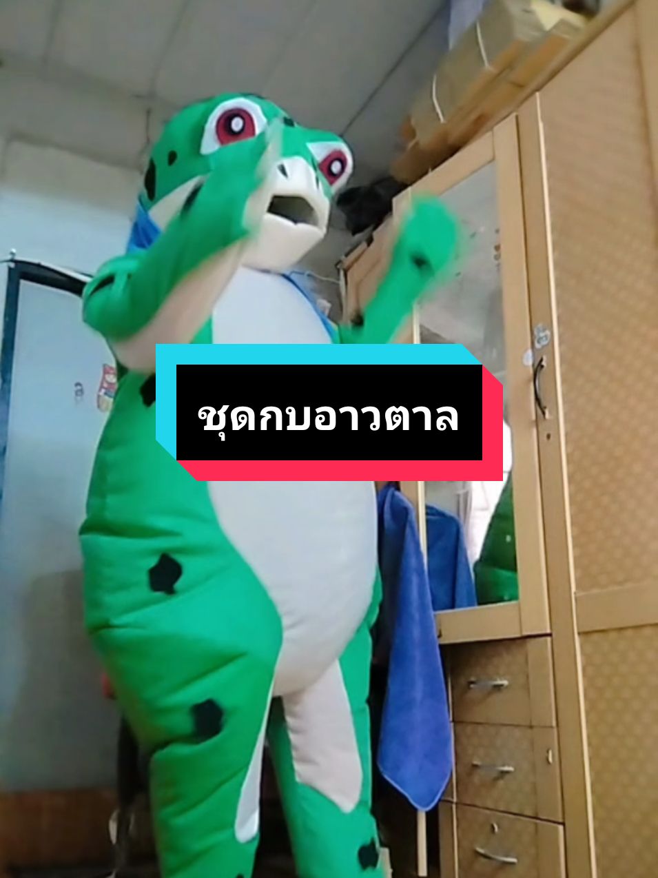 #ฮิตในtiktok #tiktokviral #ชุดกบ #ส่งฟรี 