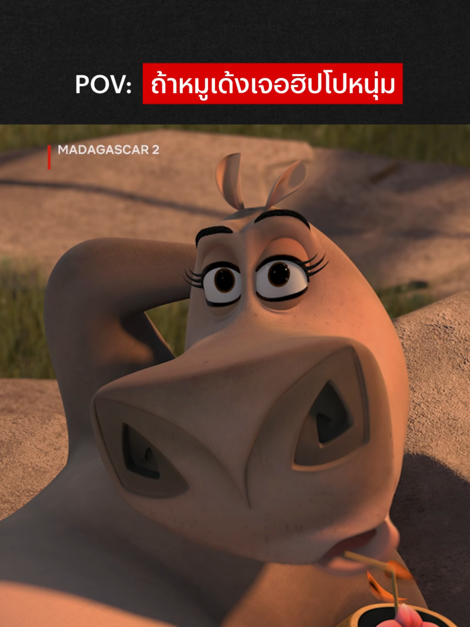 รอหมูเด้งโตก่อนน #NetflixThailand  #Madagascar2 #หมูเด้ง #Moodeng #เรื่องนี้ต้องดู #บันเทิงTikTok