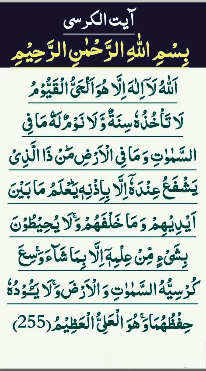 #🤲🤲🕋🕋🤲🤲 #🕋🕋🕋🕋🕋🤲🤲🤲🤲🤲 #quran_alkarim #راحة_نفسية #قران_كريم #القران_الكريم #القران_الكريم_راحه_نفسية😍🕋 #اللهم_عجل_لوليك_الفرج #قران 