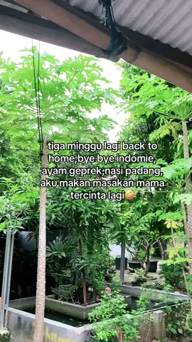 muleh tanggal piro cah?🤪#fypシ゚ #panturace #mudik 