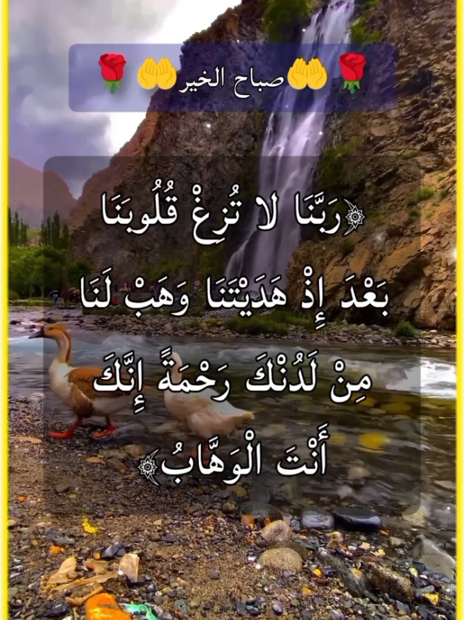 دعاء الصباح ❤️🤲#دعاء #الصباح #صباح_الخير #صباحكم_أحلى_صباح #صباحكم_معطر_بذكر_الله #اذكار_الصباح #اذكار_ادعية #اذكار_المسلم #اذكار_الصباح_والمساء #استغفار #صدقه_جاريه #راحة_نفسية #اذكروا_الله #اذكروا_الله_يذكركم #ماشاءالله_تبارك_الله #ماشاءالله #اللهم_صلي_على_نبينا_محمد #اللهم_صل_وسلم_على_نبينا_محمد #اللهم_لك_الحمد_ولك_الشكر #امين_يارب #يارب #دعاء_يريح_القلوب #دعاء_جميل #اذكار #foryoupage #foryou #pourtoi #pourtoipage #explore 