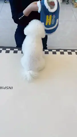 Plush vest for pets, can be customized.🐩🐶 #pet#pets #petsuppliesplus #dog #pet_supplies #fyp 