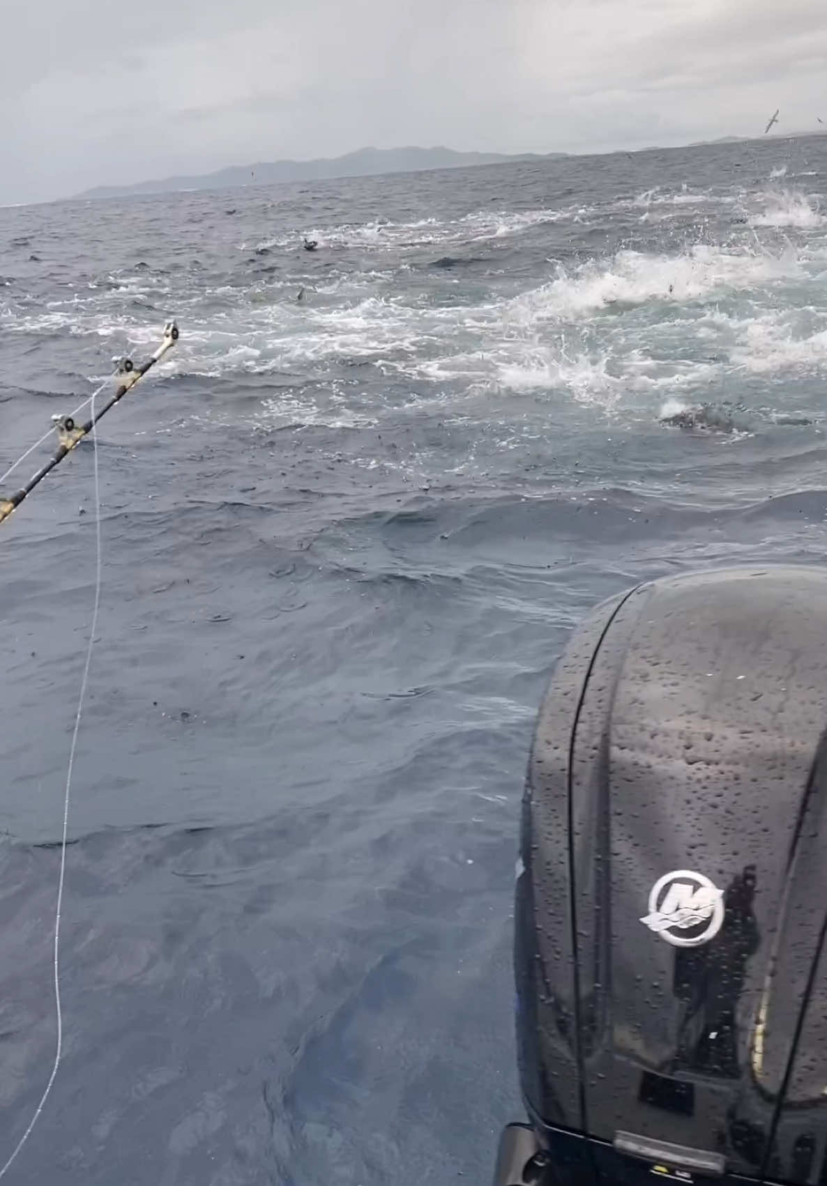 Is there anything better??!! Aclassic’s own @geoffdoig57 in the thick of it with @namotufishing  Big Fish, Big Waves, Epic Times! Aclassic!!  #fishing #fish #fishinglife #bluewater #nature  #fishingislife #angler #fisherman #fishingtrip #boat #fishingaddict #bigfish  #saltwaterfishing #fishingdaily #fishon #sea #aclassic #diehard #diehardfisho #fishingaustralia