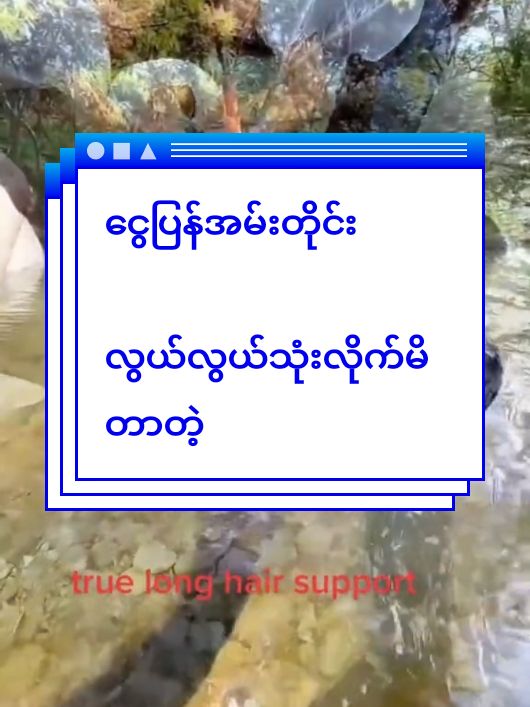 Replying to @chitsu7401 #ငွေပြန်အမ်းတိုင်းလွယ်လွယ်မသုံးကြနဲ့ #မွှေးမွှေးhaircare #တွေးပီးမှတင်ပါ #tiktok2024 #yangon #mandalay #မြင်ပါများပီးချစ်ကျွမ်းဝင်အောင်လို့🤒🖤 #twenty9shampoomyanmar #09262612571ကိုဆက်သွယ်မှာယူလို့ရပါတယ် 