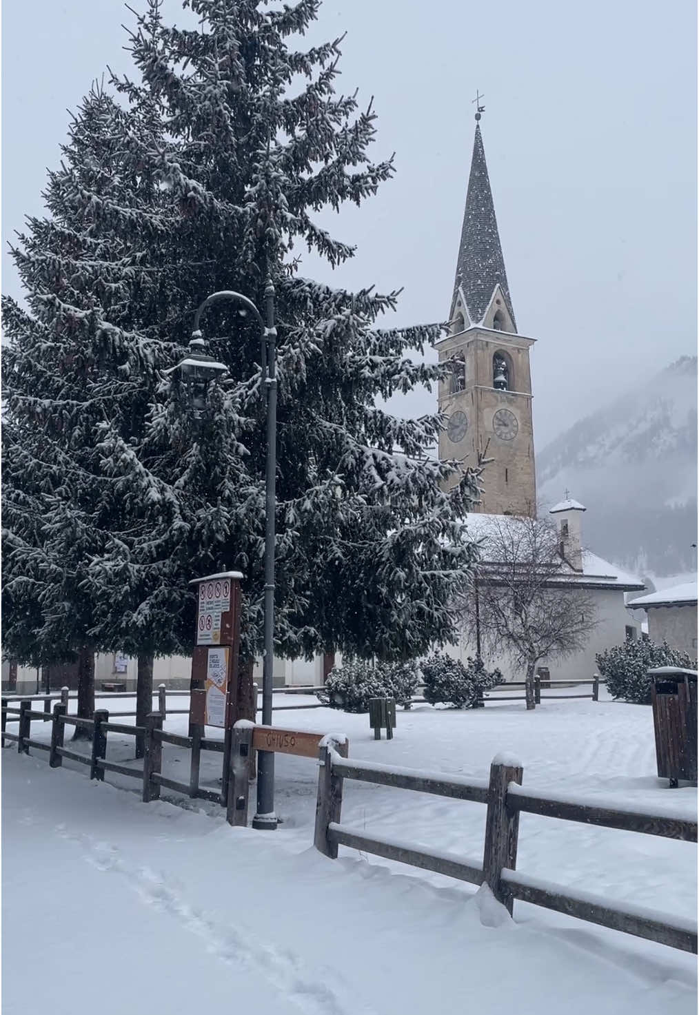 Un Prof al nord! Le belle mattinate ❄️ #valtellina #mountain #livigno #scuolaitaliana #nature #neve #unprofalnord #neipertee 