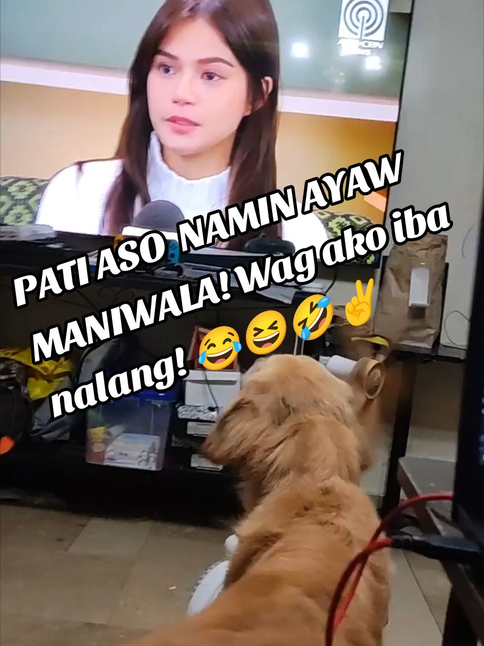 Hindi daw totoo yan sabi ng Doggie namin! 😂😆✌️🐶 #goldenretriever #funnydog #funnyvideos #funnydog  #dogsoftiktok #marisracal #dogs #retriever #fyp #foryou #foryoupage #viral #trending 