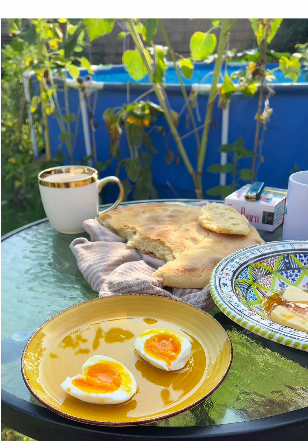 ✨ Leben einer Tunesierin in einem deutschen Dorf ✨ Life of a tunisian woman in Germany 🇩🇪 countryside ✨ #dorfleben #deutschland #om_kalthoum_mahrsi #om_kalthoum_mahrsii #germany #ام_كلثوم_محرصي #meingarten #garten #hünner #المانيا 