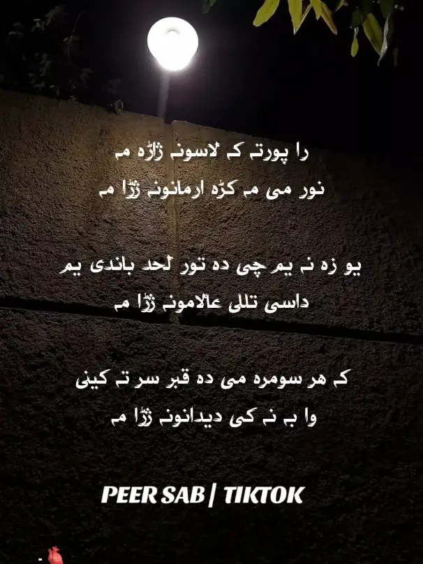 pa yu qabr lekle yo #pashtomusic #peersab435 #pashtotiktok #pashtomalang #pashtosong #pashto @حُسن پرست 🤴🦋 @Hassنyن📿 @ALI SAYED🥀🥀 @💘راز دل❤️‍🩹 @🔥Haسan 📿 @♤ر¡$@¥♡ 