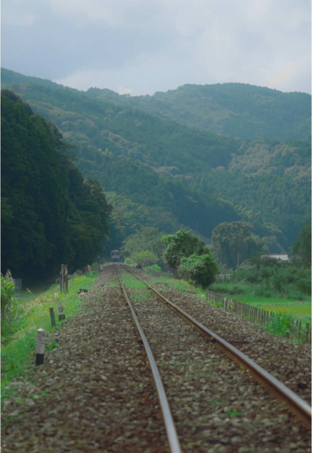 田舎に帰りたくなる曲。 What’s your favorite song. #japantravel #cinematography #tiktoktravel #日本の景色 #田舎の風景 #美しい瞬間 #日本の風景 #エモい 