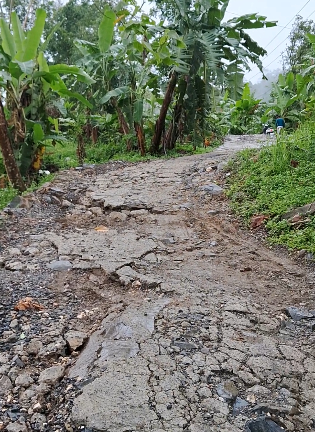 Kondisi jalan Bantargadung menuju Desa Cidikit rusak parah akibat derasnya curah hujan. #jalanrusak #desacidikit #bayah #lebak #banten 