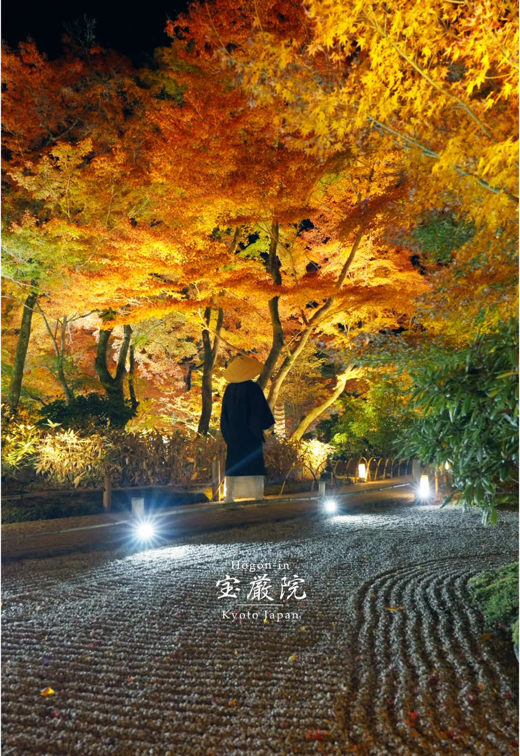 📍 宝厳院（ほうごんいん） ＠京都 人気スポット嵐山にある、初夏の新緑と秋の紅葉名所🌿🍁 秋のライトアップを撮影！ 紅葉はもちろん、緑の苔も美しく、燃えさかるような紅葉とのコントラストがとっても魅力的でした！ 📅 ライトアップの期間：11月15日（金）～12月8日（日） ⏳ 拝観時間 :  17:30～20:30 ※受付終了20:00 🎟 拝観料：1,000円 🚌アクセス ★電車 ・JR「嵯峨嵐山駅」下車徒歩10分 ・嵐電「嵐山駅」下車徒歩3分 ・阪急「嵐山駅」下車徒歩10分 ★バス ・「嵐山天龍寺前駅」下車徒歩約5分 ・「京福嵐山駅前」下車約5分 #kyototrip #kyototravel #kyotojapan #foliage #京都旅行 #京都観光 #宝厳院