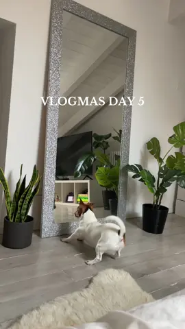 Vi stanno piacendo questi mini vlog ? 🤍✨ #curvymodel #modellife #Vlogmas #christmas2024 #christmas 